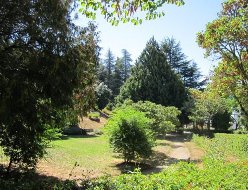 Parque Florestal de Vila Pouca de Aguiar
